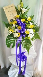 AACC8861 - 1 tie