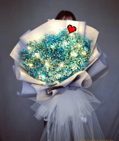 AHB9426 - Blue baby breath