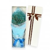 Abox9973 (Blue Baby Breath)