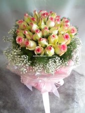 AHR1384 (Lipstick roses)