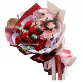 AHB9347 - Carnations