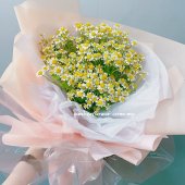 AHB9360 - Chamomile