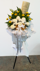 AACC8806