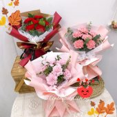 AHB9343 - Carnations