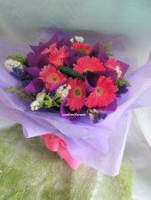 AHB9556 - Pink Geberas