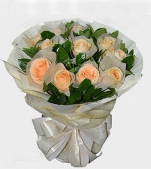 AHR1473-Champagne Roses