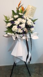 AACC8824