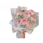 AHB9351 - Carnations