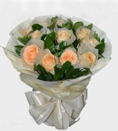 Alove217 (Champagne roses)