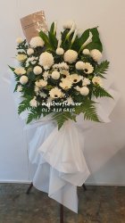 AACC8909