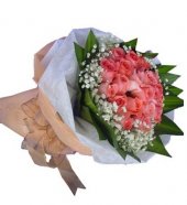 AHR2773 - Pink roses