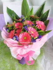 AHB9887 - Gerberas