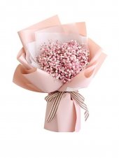 AHB9404 - Baby breath