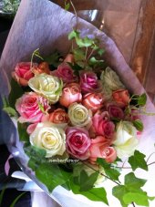 AHR1355 (Cream & pink roses)