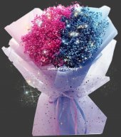 AHB9465 - Baby breaths