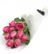 AHV499 - Pink roses